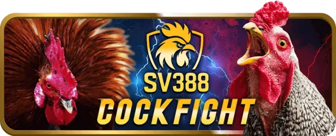 Hướng dẫn chơi xổ số tại bi88