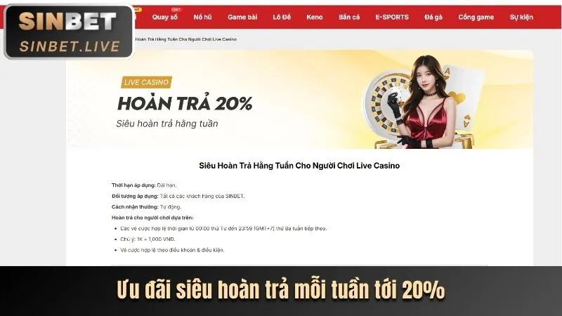 Giao diện nền tảng cá cược thể thao bi88